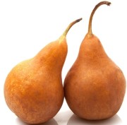 Gruszka konferencja Gruszka konferencja